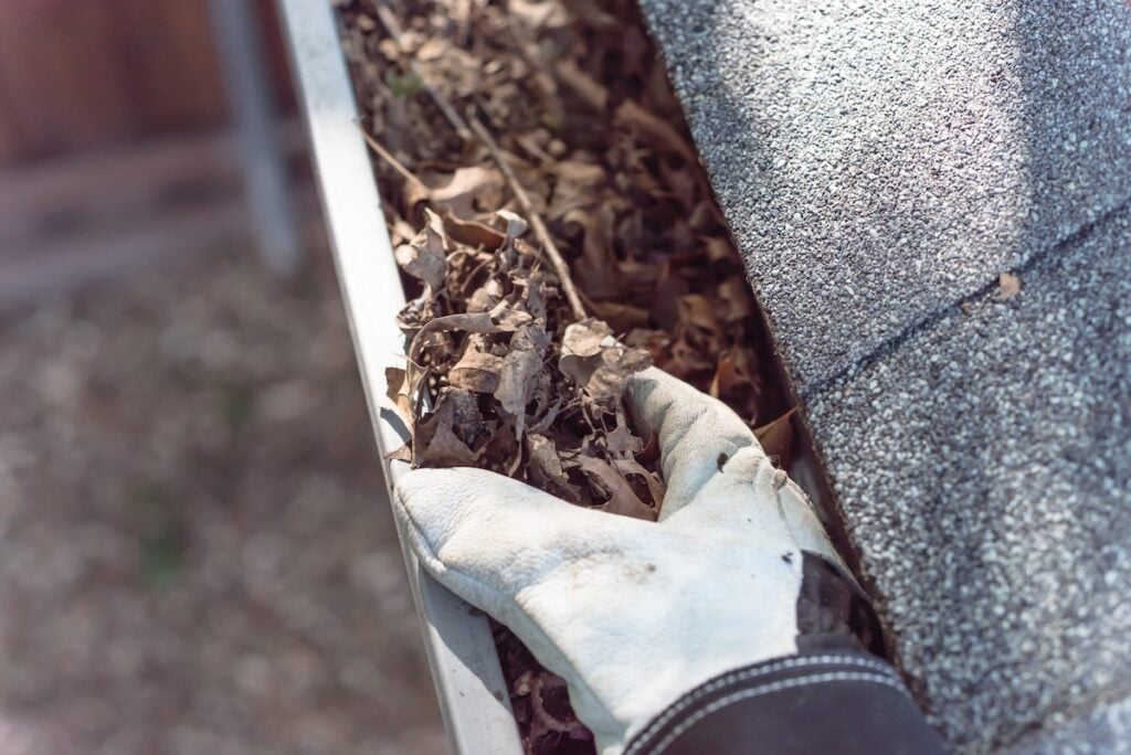 Top view man hand in gloves cleaning house gutter from leaves and dirt. Roof gutter cleaning near shingles roof in summer time