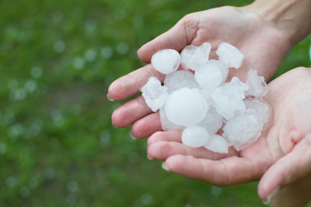 hands holding hail