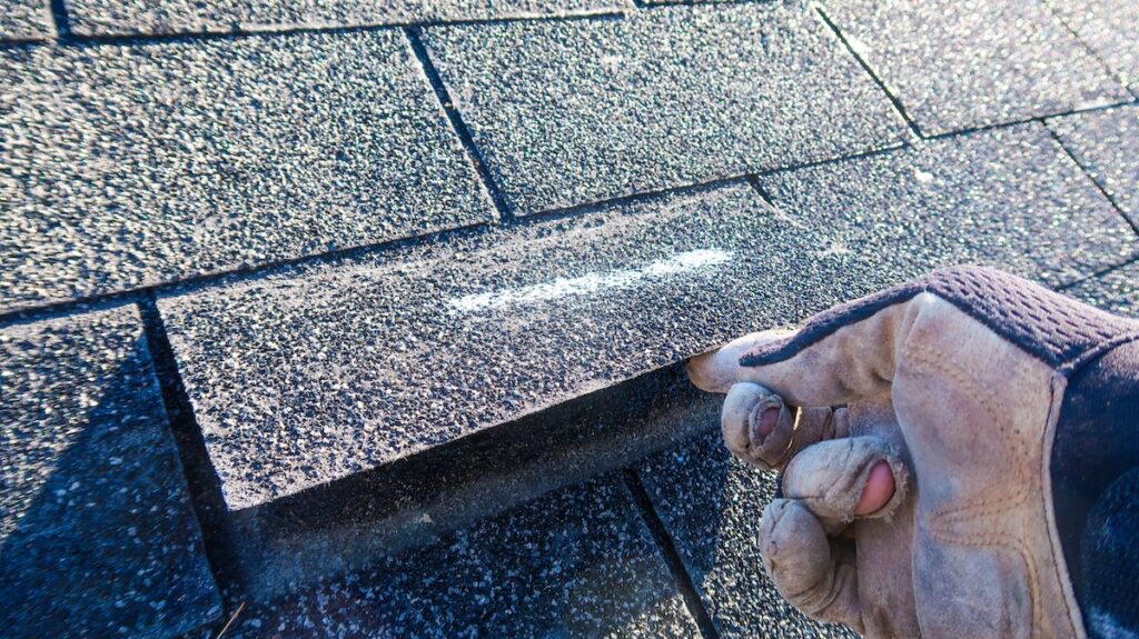 Roof inspection
